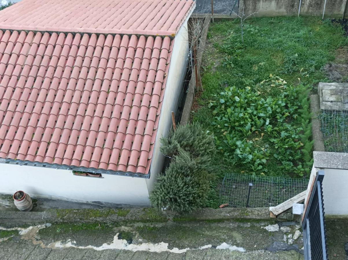 Affittacamere Piagge Orvieto Dış mekan fotoğraf
